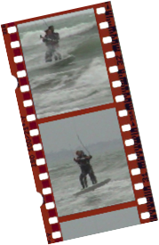 le moniteur